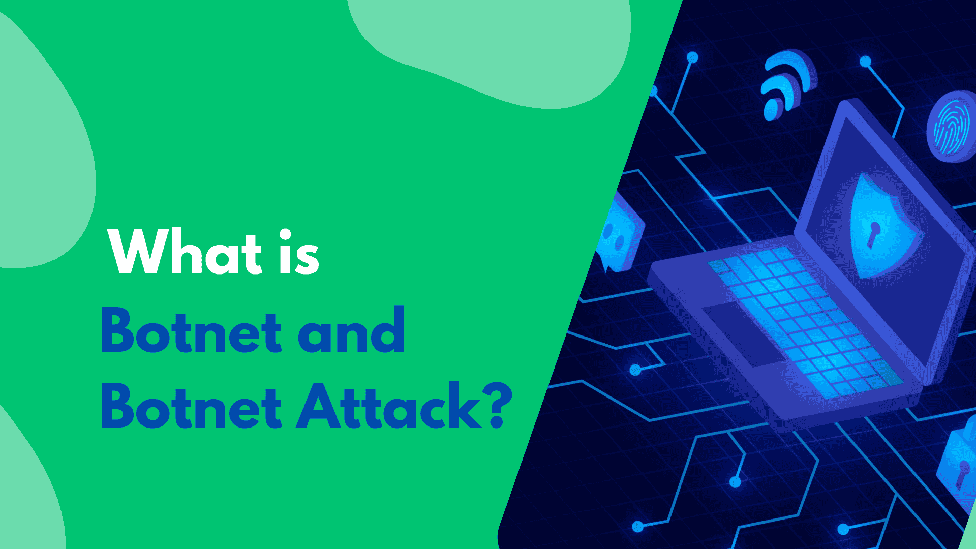 بات نت چیست و چه کاربردهایی دارد؟