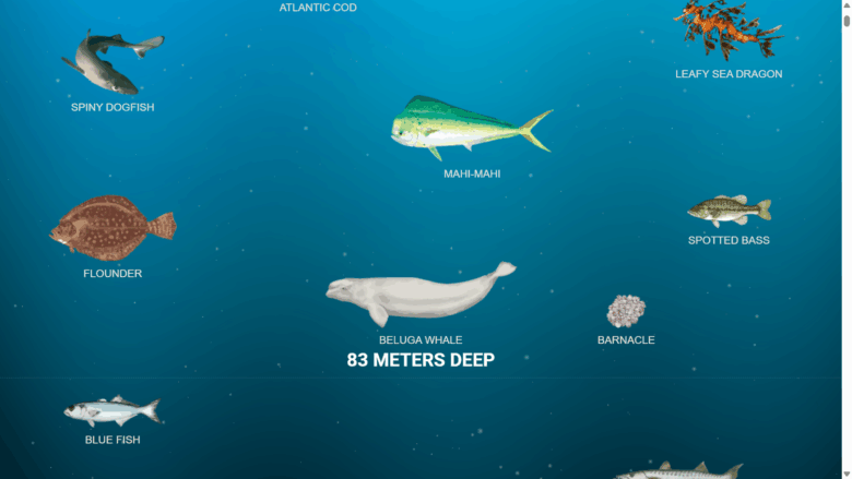 دریای عمیق (The Deep Sea)